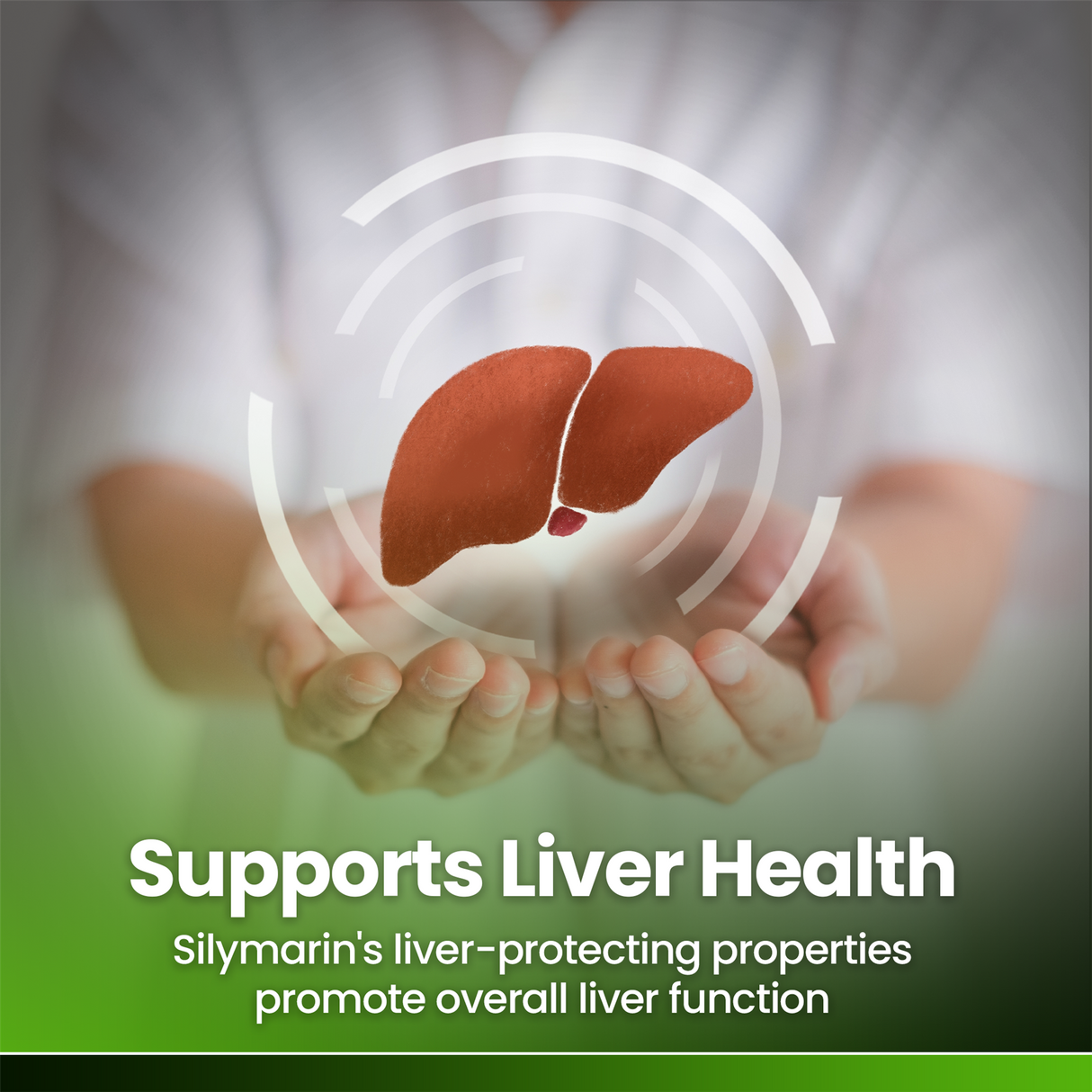 Milk Thistle Extract 4000mg 90 Tablets