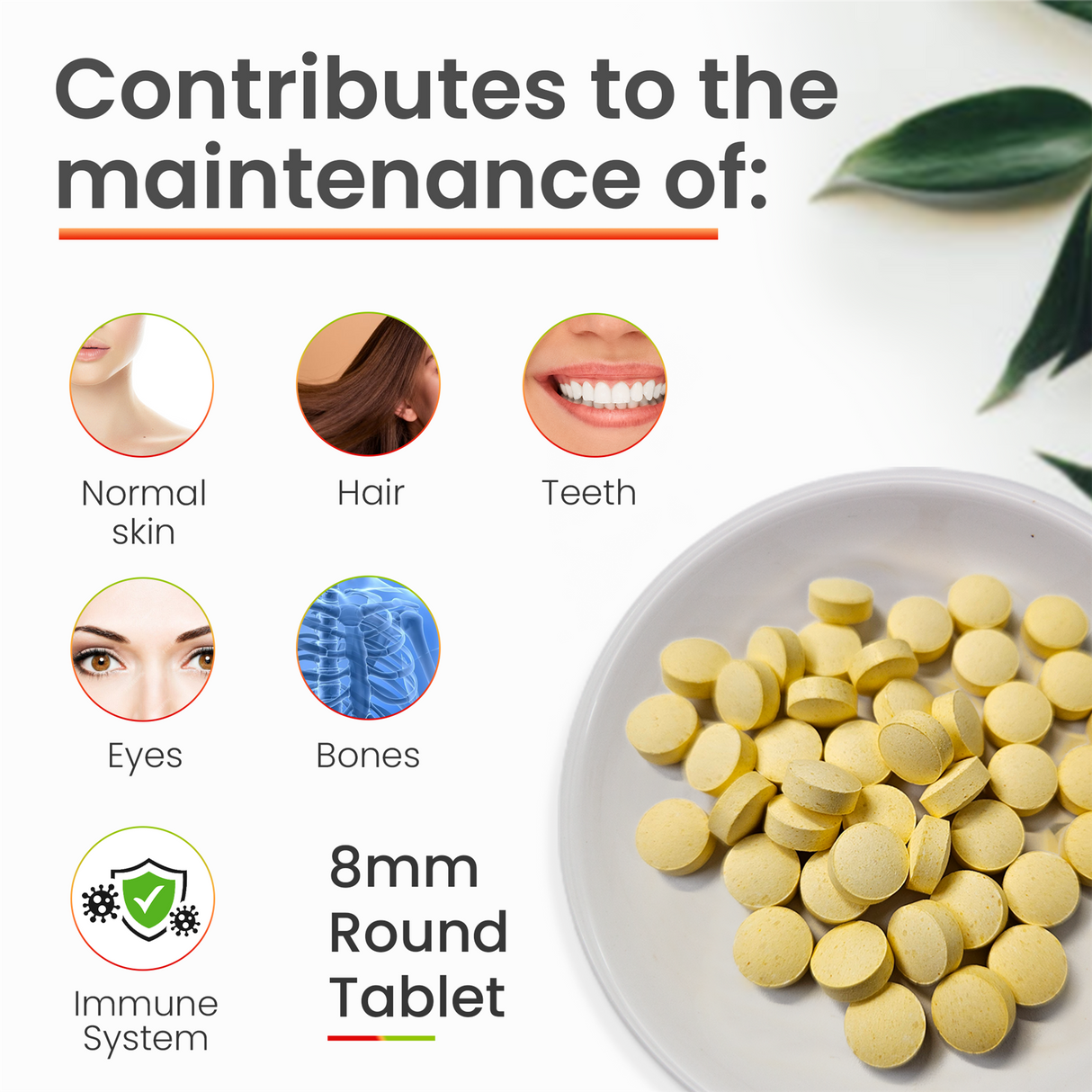 Multi Vitamins And Minerals - 180 Tablets