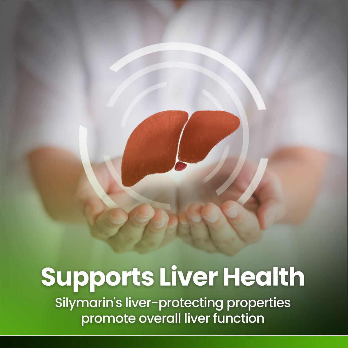 Milk Thistle Extract Tablets 4000mg