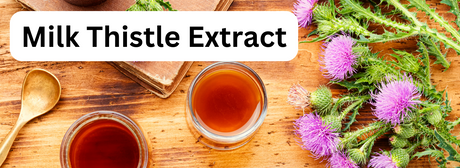Milk Thistle