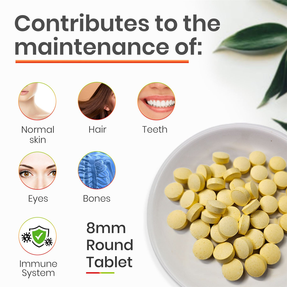 Multi Vitamins - 200 Tablets